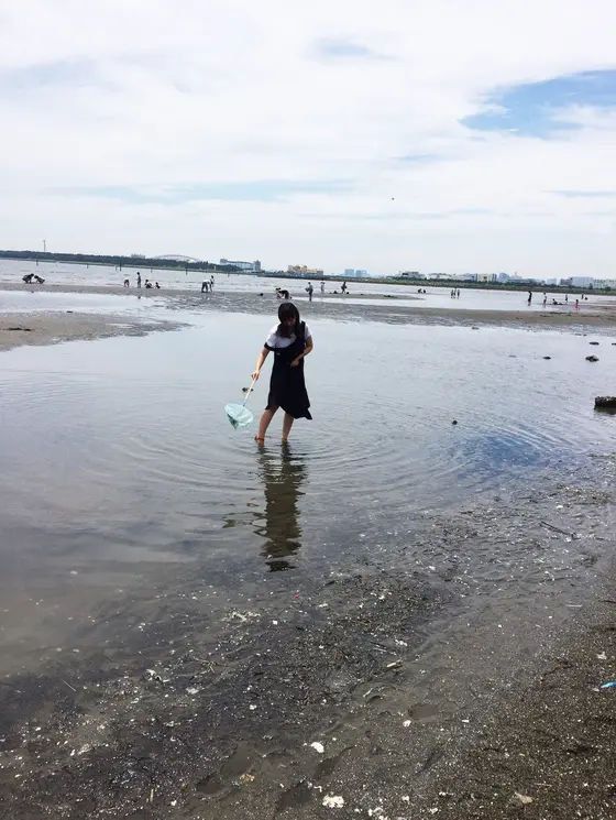 海岸