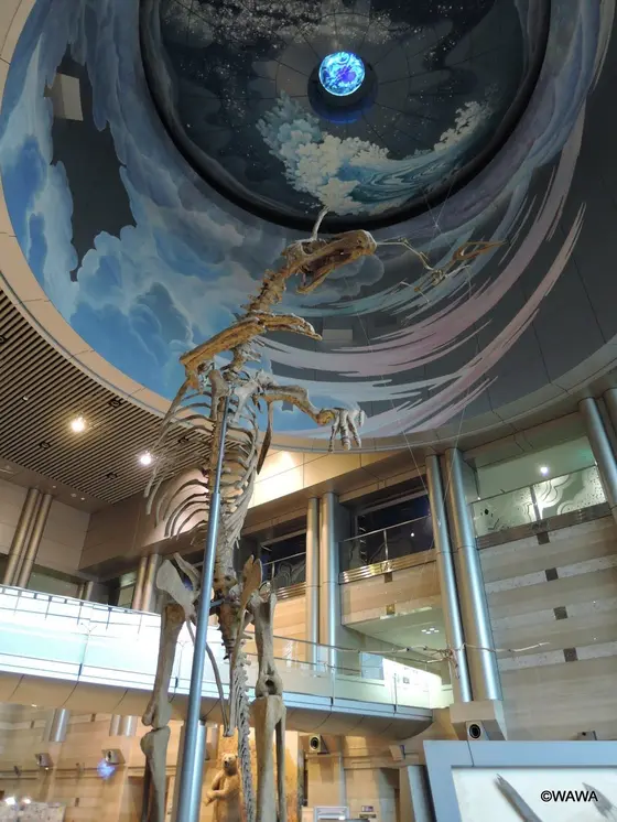 神奈川県立生命の星・地球博物館