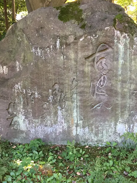 芭蕉の句