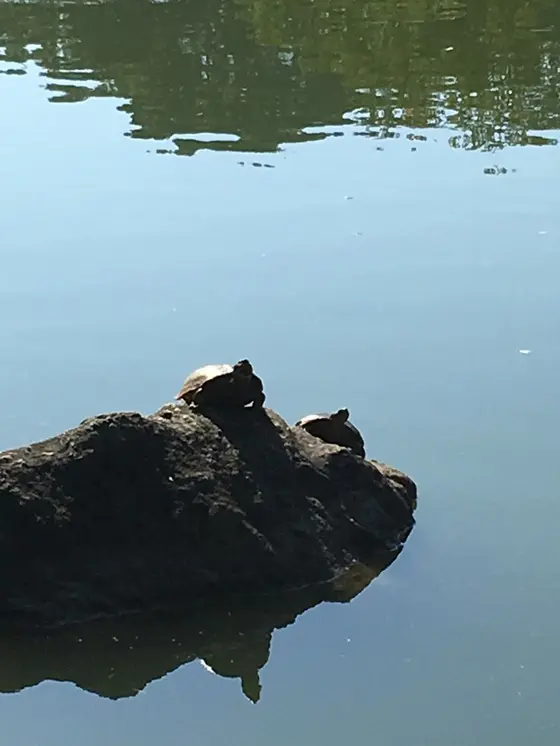 おまけ