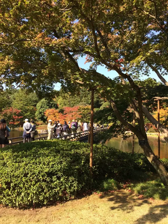 池の中央に架け橋