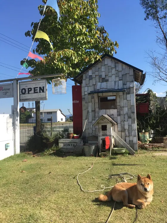看板犬☆