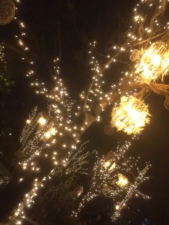 幻想的な空間