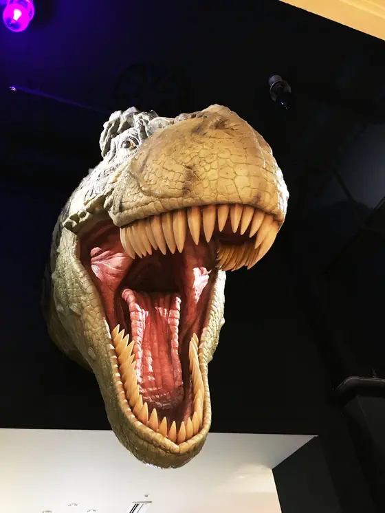 ティラノサウルスがお出迎えw