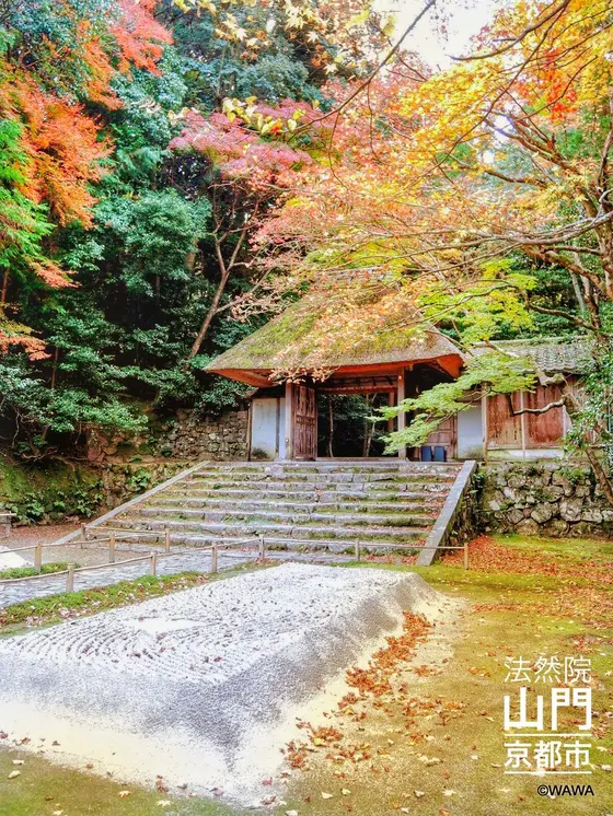今年の法然院