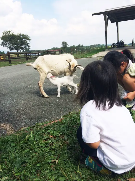 動物とのふれあいコーナー