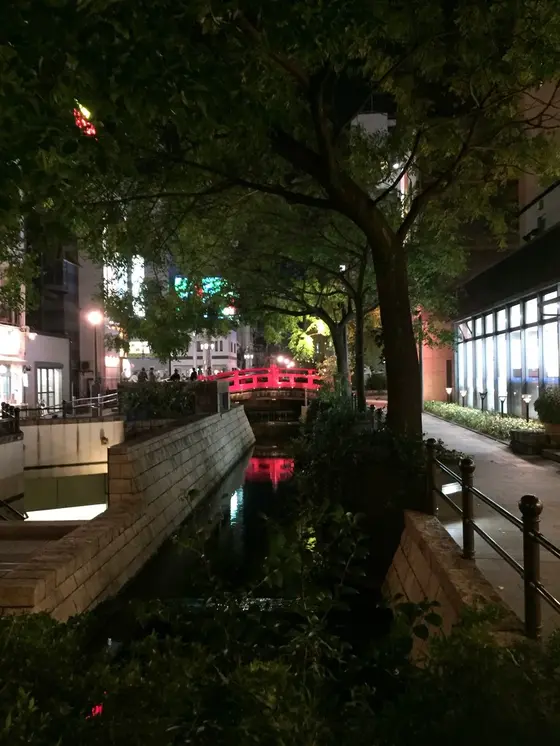 夜のはりまや橋