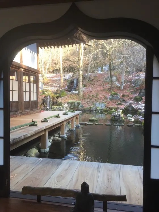 境内から見える裏庭の様子