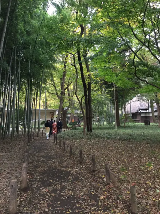竹林