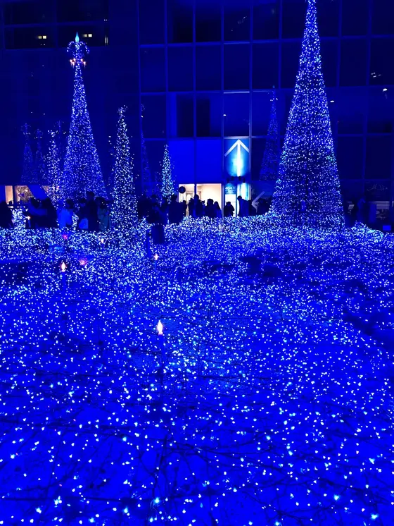 一面の青