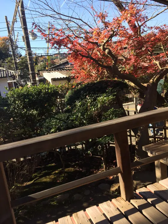 窓越しに