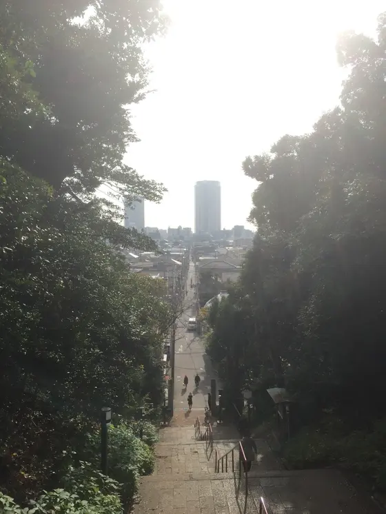 眺めがよいです