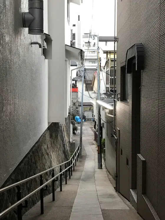 左を向けば