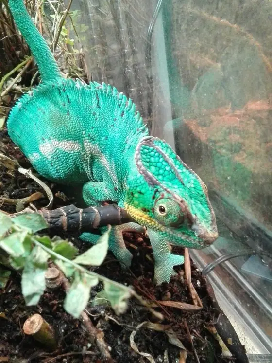 触れる動物園です。笑