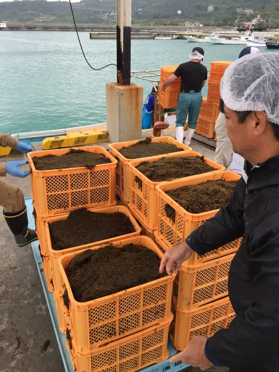 奥武島 漁港