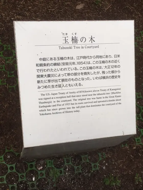 中庭