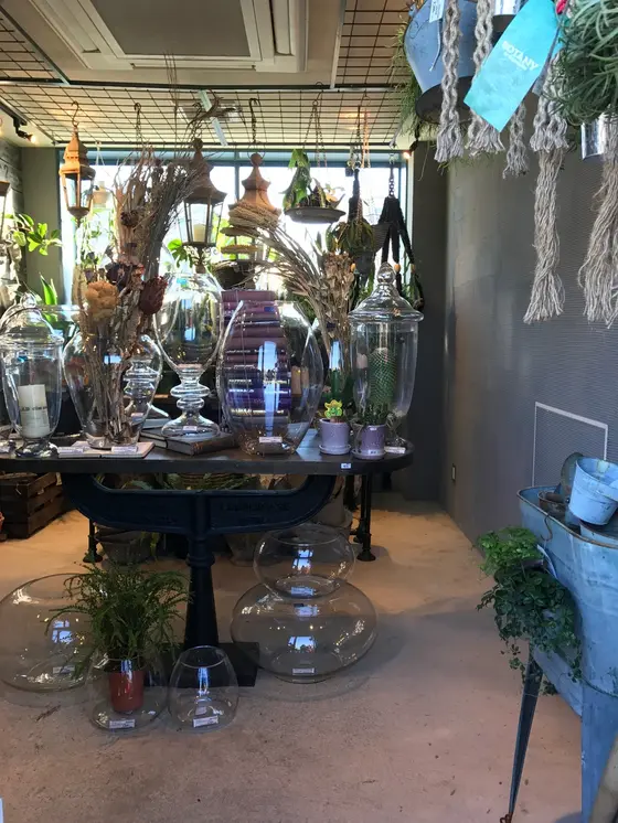 最上階はプランツスペース