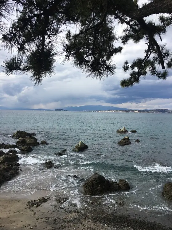 神社から見える海。
