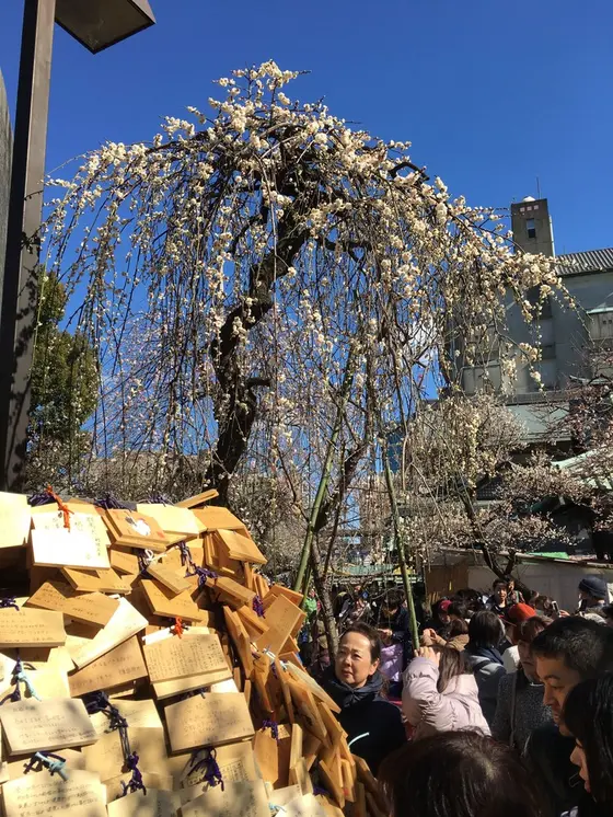 スポット内のおすすめ