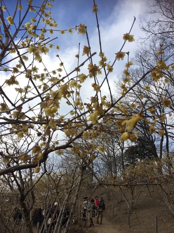 スポット内のおすすめ