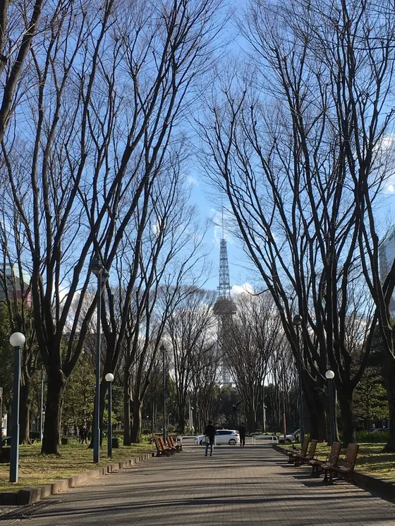 テレビ塔が小さく見えます