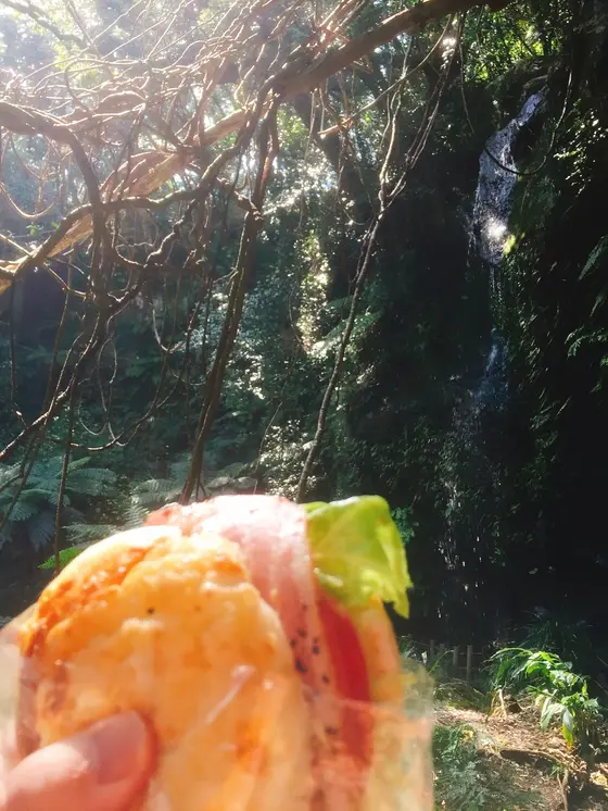 滝を見ながらランチ