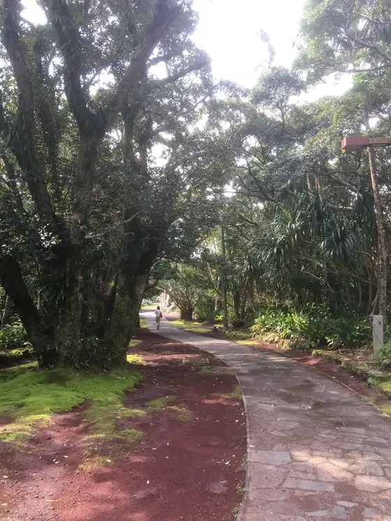 屋外へ
