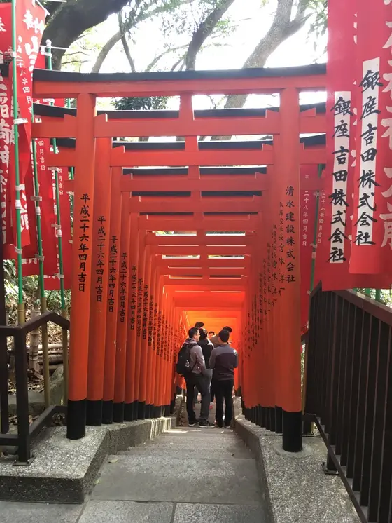鳥居が並んでいます