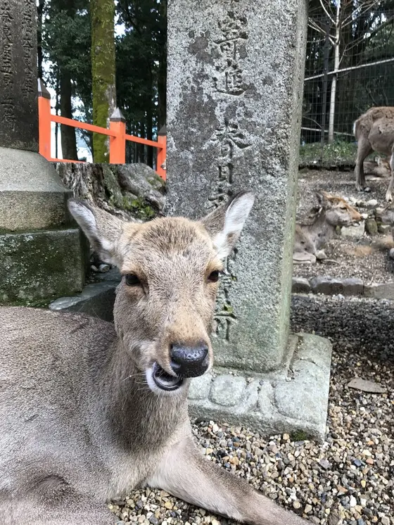 変な顔(笑)