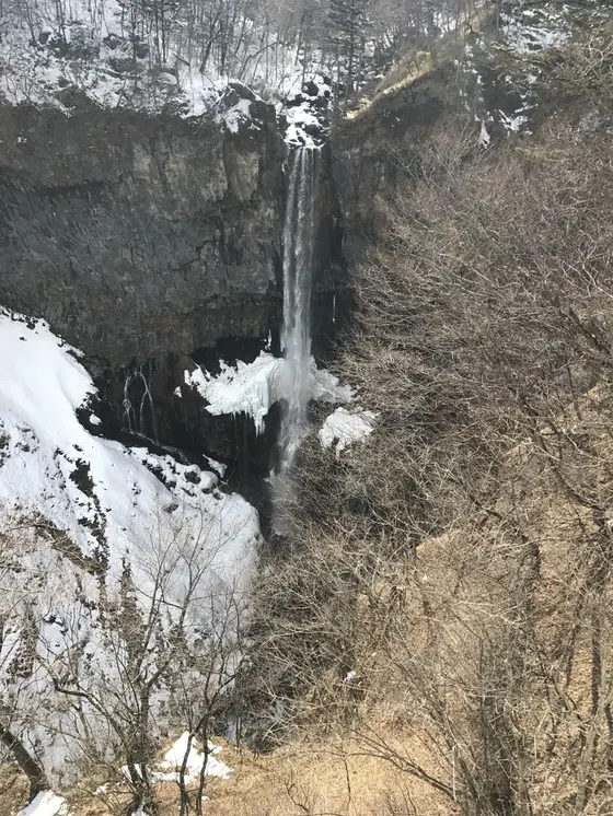 無料で見られる所もあります