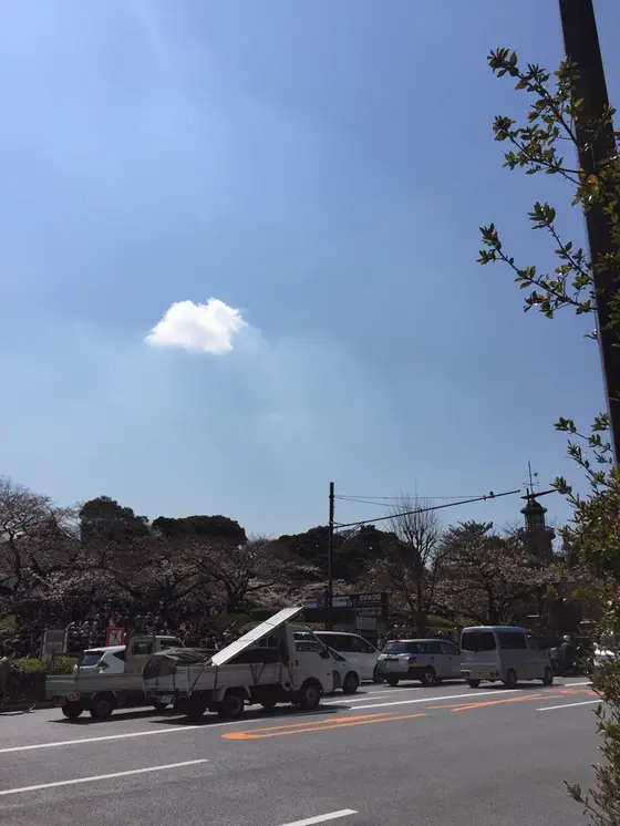 スポット内のおすすめ