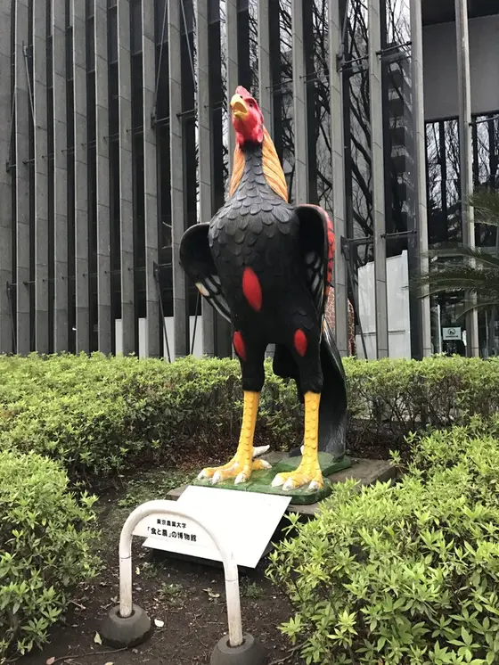大王鶏