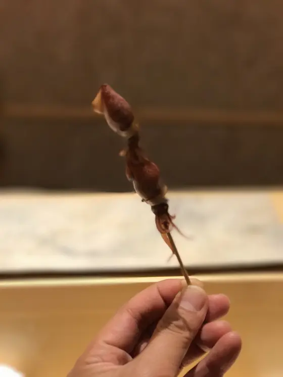 蛍烏賊