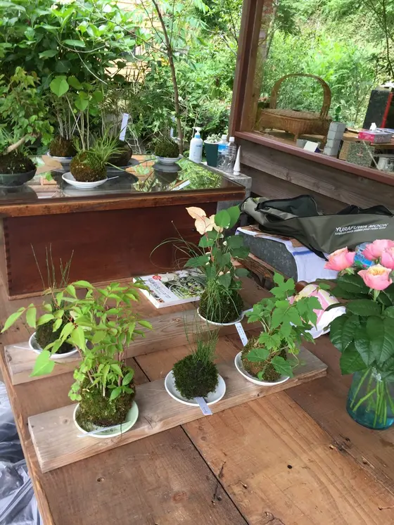 スポット内のおすすめ