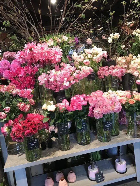 スポット内のおすすめ