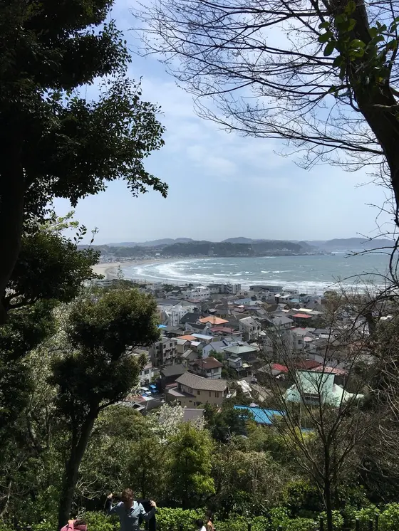 鎌倉市街の眺め