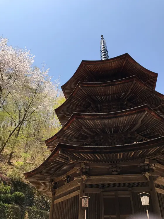 国宝の堂々たる姿