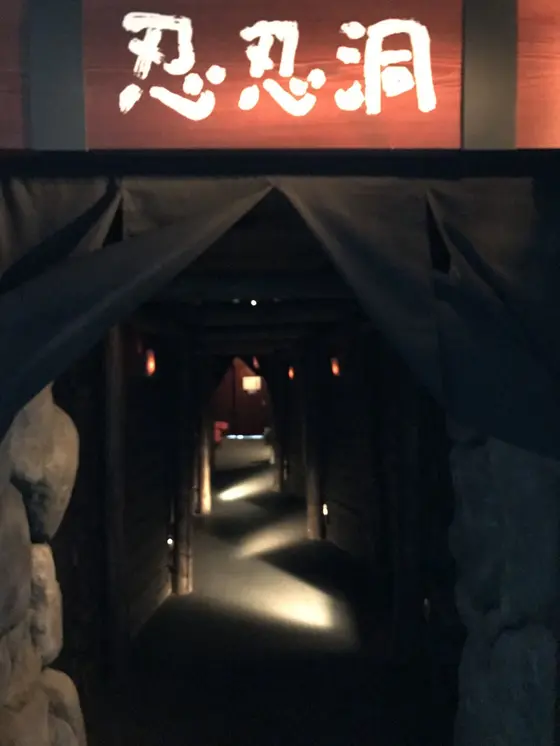 忍忍洞