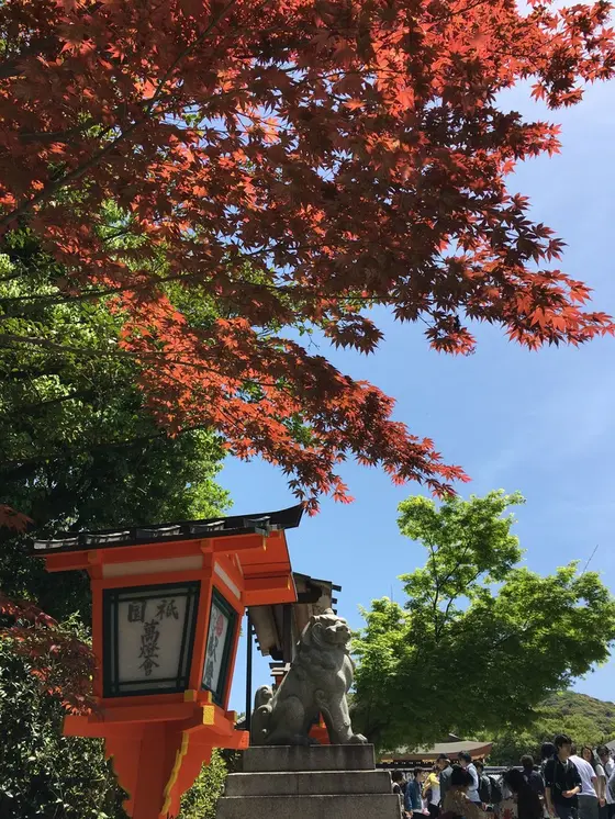 季節感が……