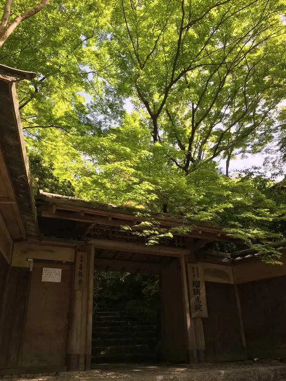 入口はこのような感じ
