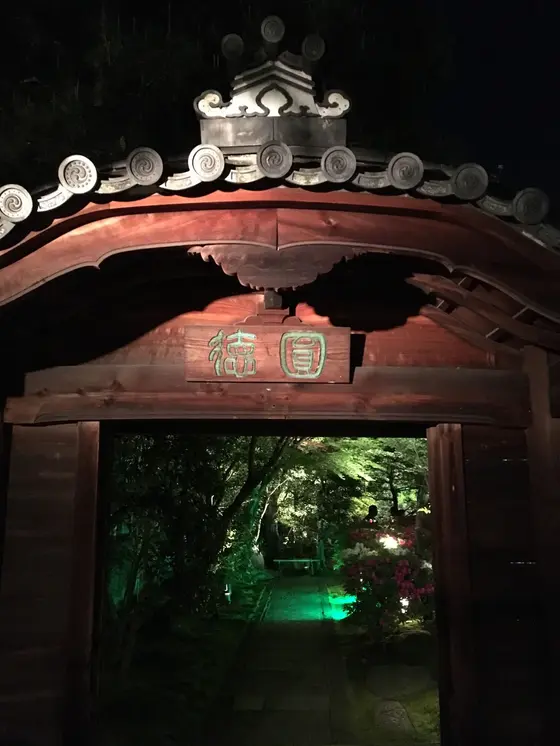 門の先にはまたまた違った緑の世界が🌱