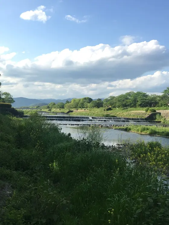 川べり