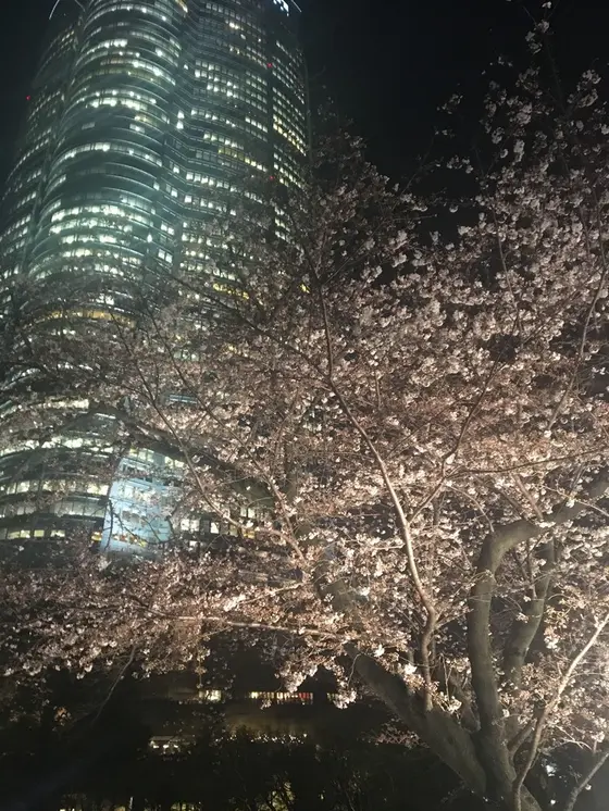 毛利庭園