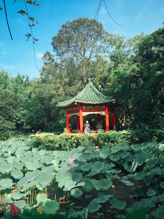 台湾っぽさが◎