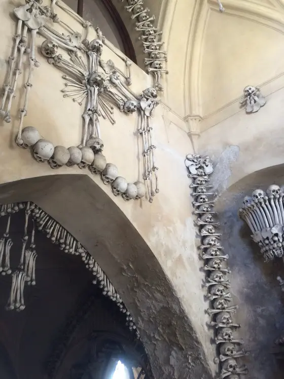 すべてホンモノの人骨。入口から、なんとも言えない雰囲気が漂います。