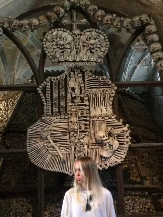 骨で作られた、シュヴァルツェンベルク家の紋章。