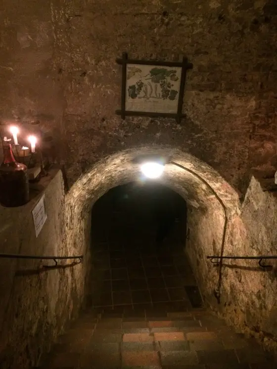 ワイナリー入り口。ドキドキ…