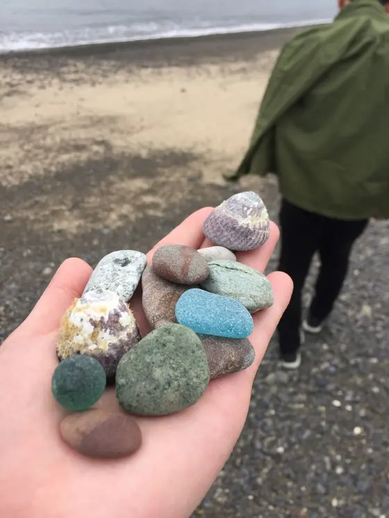 海で貝殻集め🐚