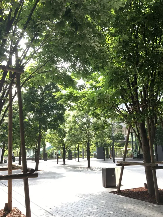 こんな日はのんびりとベンチに座りたい。