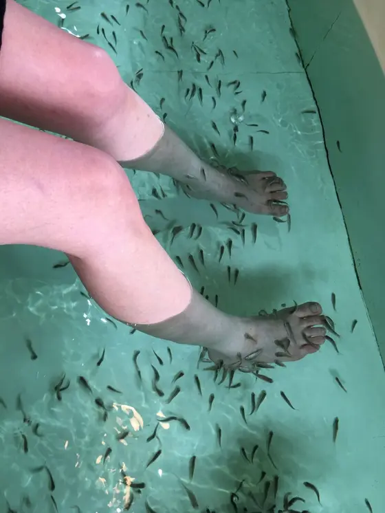 ドクターフィッシュ